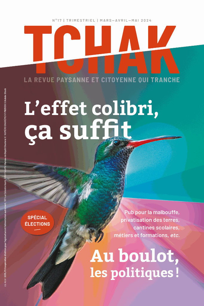[N17] Numéro 17